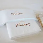The Fountain 3*